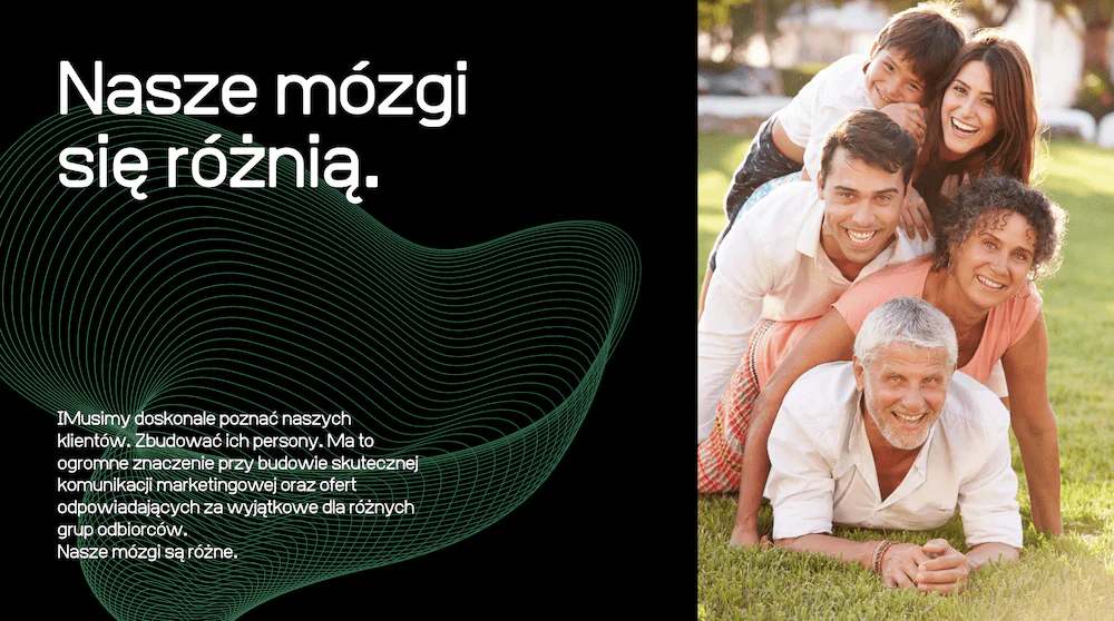 budowa mózgu